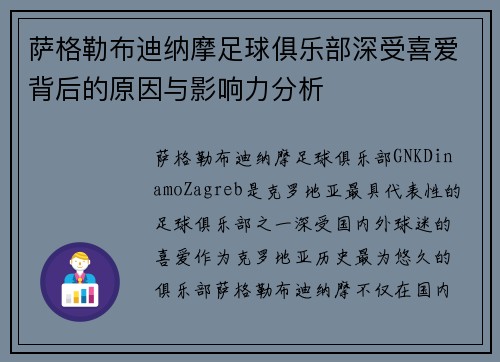 萨格勒布迪纳摩足球俱乐部深受喜爱背后的原因与影响力分析
