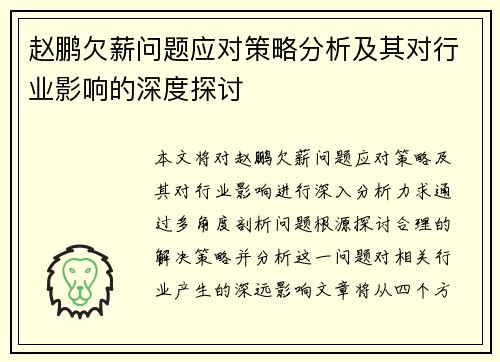 赵鹏欠薪问题应对策略分析及其对行业影响的深度探讨